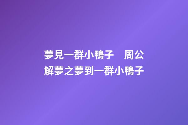 夢見一群小鴨子　周公解夢之夢到一群小鴨子